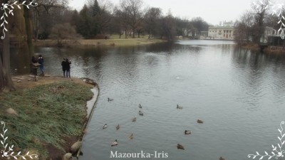 ポーランド生活ブログワルシャワワジェンキ公園観光