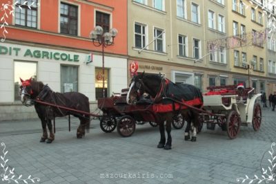 ポーランド観光ワルシャワｶﾞｲﾄﾞヴロツワフ旧市街