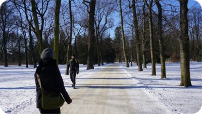 ポーランド観光個人ガイドワジェンキ公園