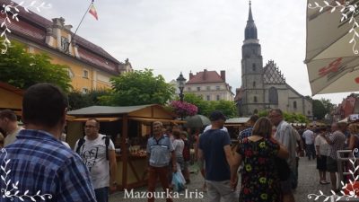 ポーランドボレスワヴィエツ陶器祭りヴロツワフワルシャワ観光ガイド