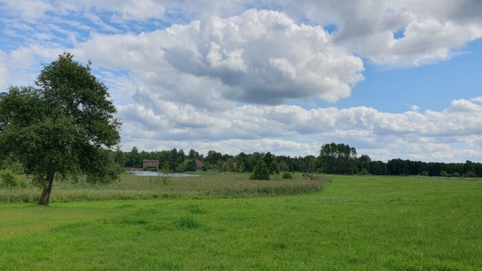 マズーリ地方クルティンポーランド夏休みヨーロッパの田舎の風景