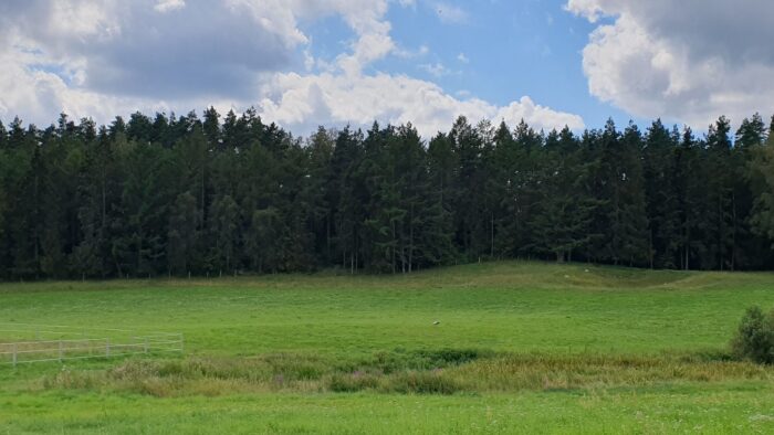 マズーリ地方クルティンポーランド夏休みヨーロッパの田舎の風景